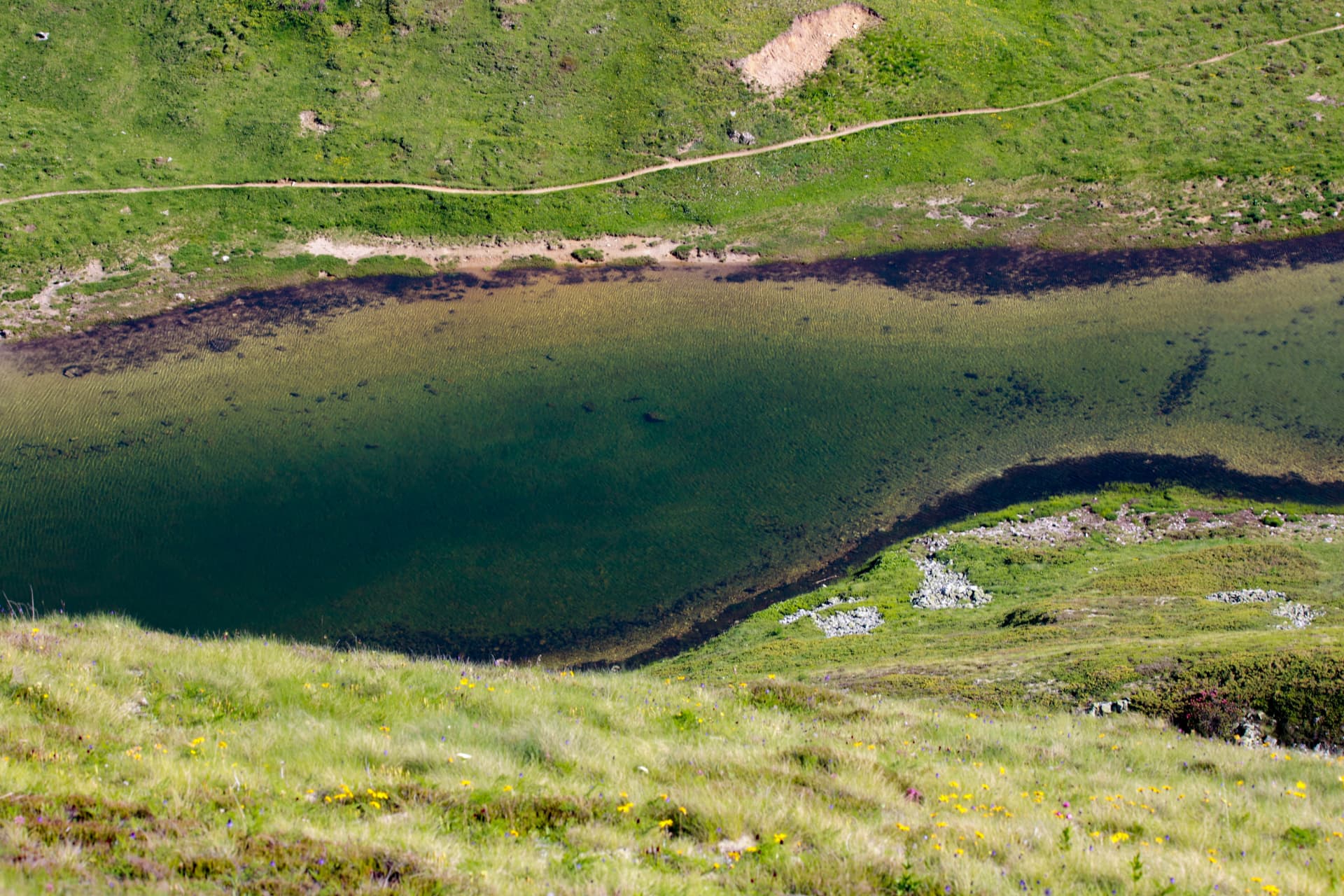 Bergsee auf der Alpweide über Thyon mit Pfad am Ufer