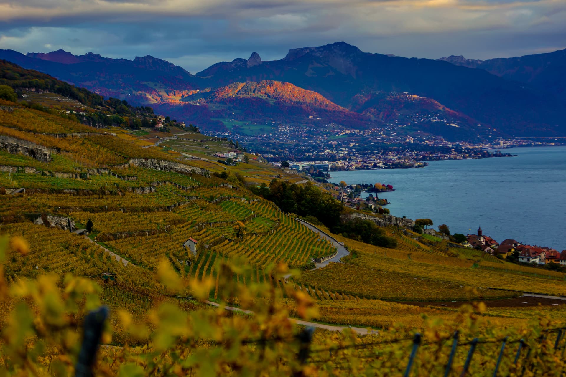 Blick auf Vevey und Montreux aus den Rebbergen von Lavaux im Abendlicht