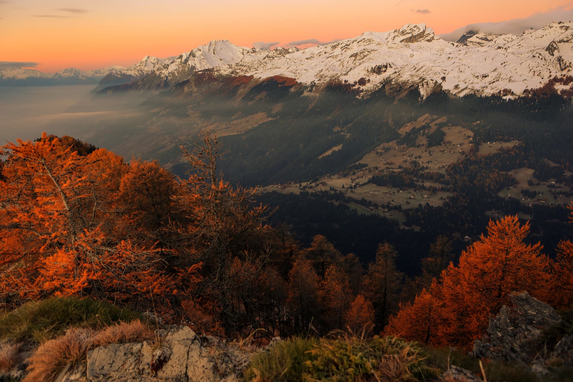 Orange Lärchen auf dem Grat und verschneite Gipfel im Abendlicht