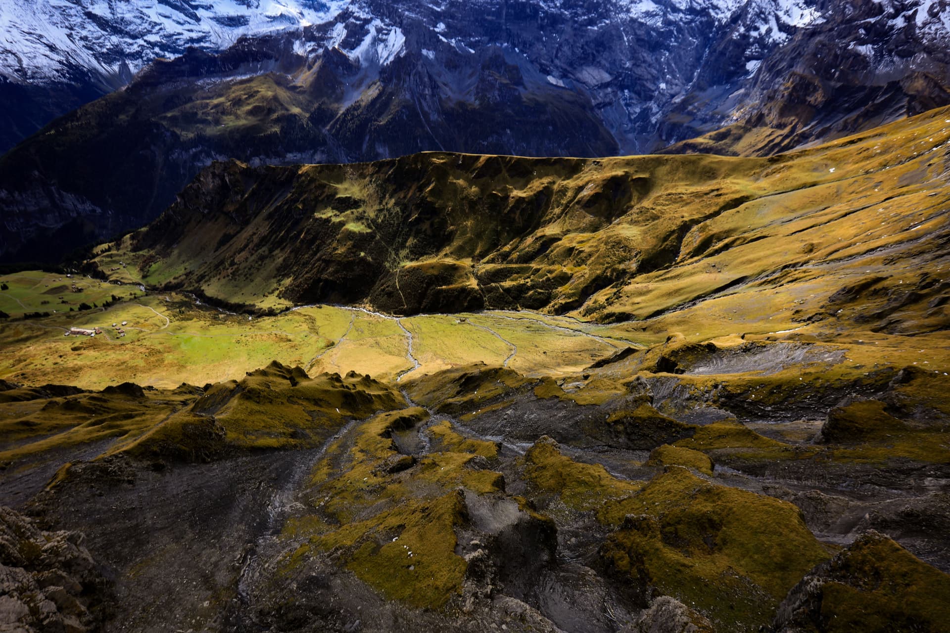 Blick hinunter ins grüne Tal unter Mürren mit schneebedeckten Oberländer Gipfeln