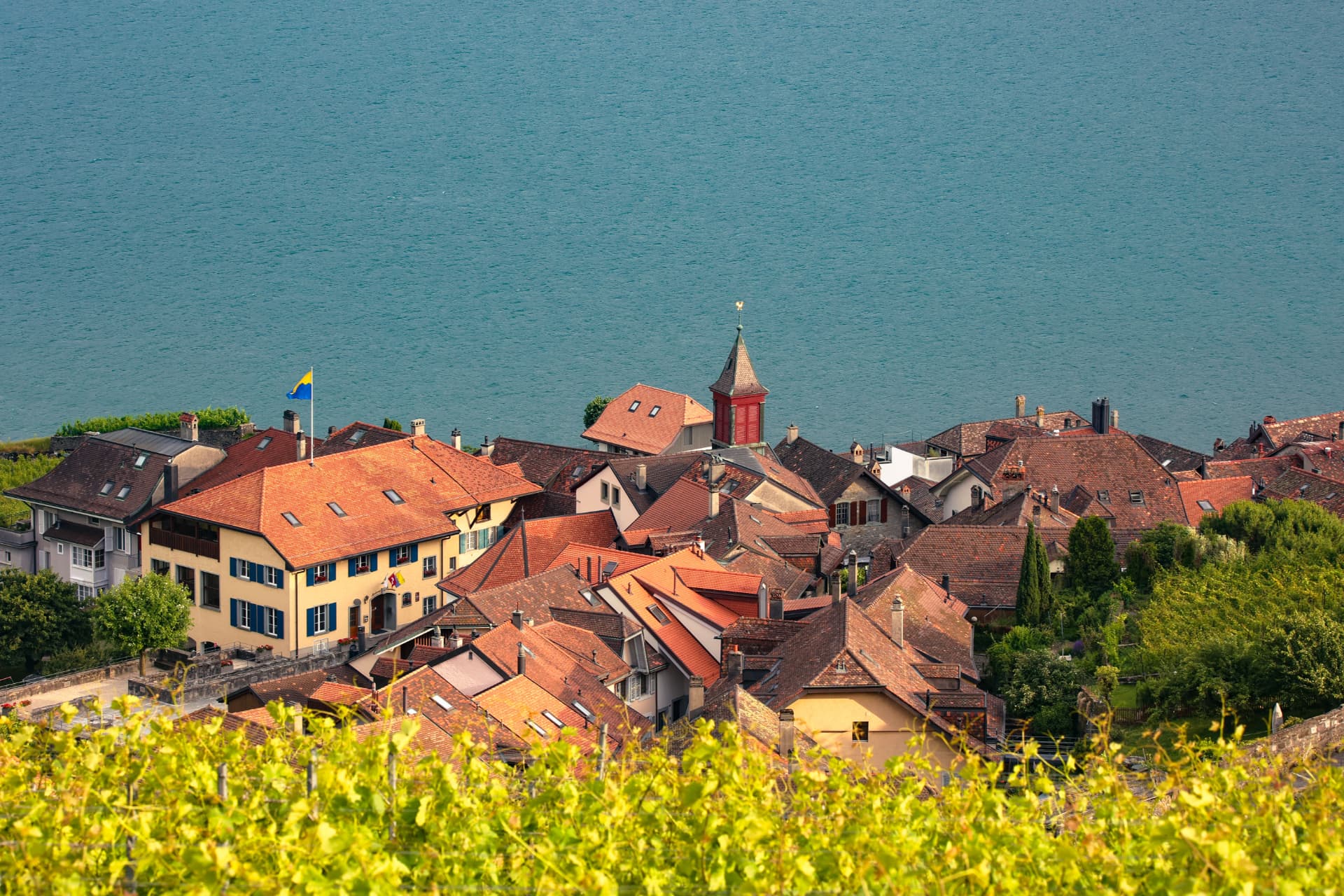 Rote Dächer eines Lavaux-Dorfes über türkisfarbenem Wasser mit Reben im Vordergrund