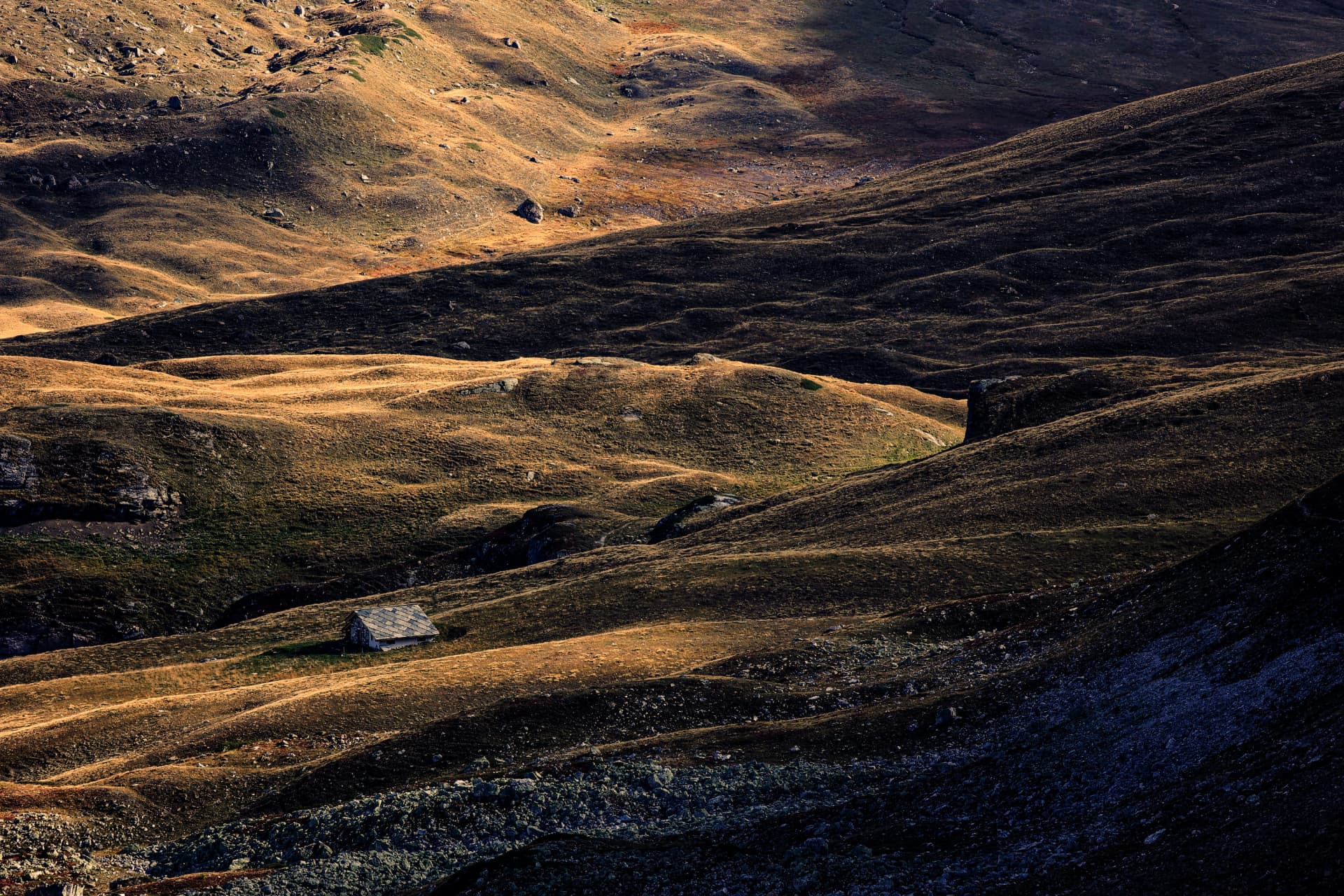 Einsame Hütte zwischen goldenen Alpweiden oberhalb von Mase