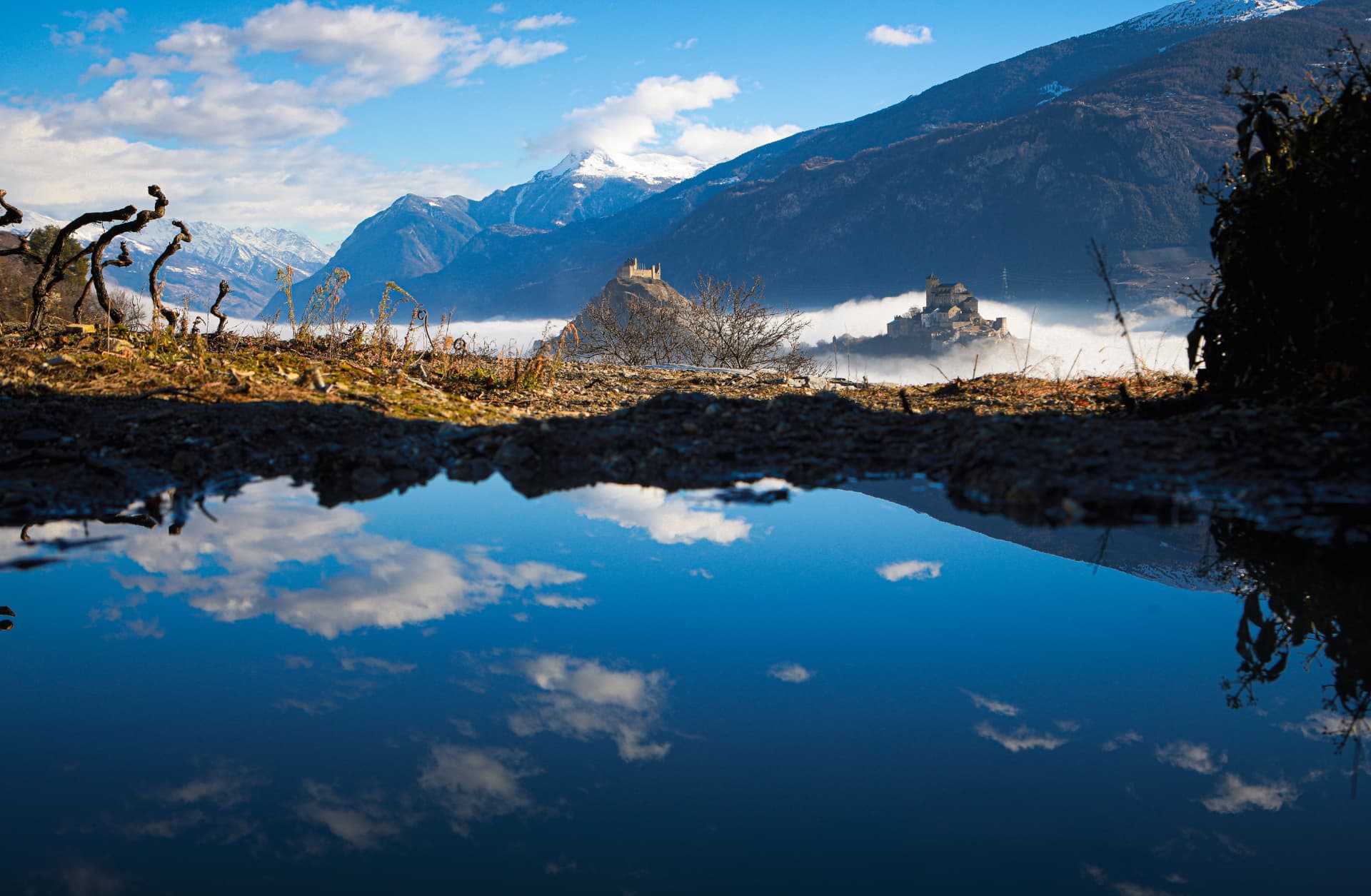 Spiegelung der Burgen von Sion in einer Pfütze in winterlichen Rebbergen