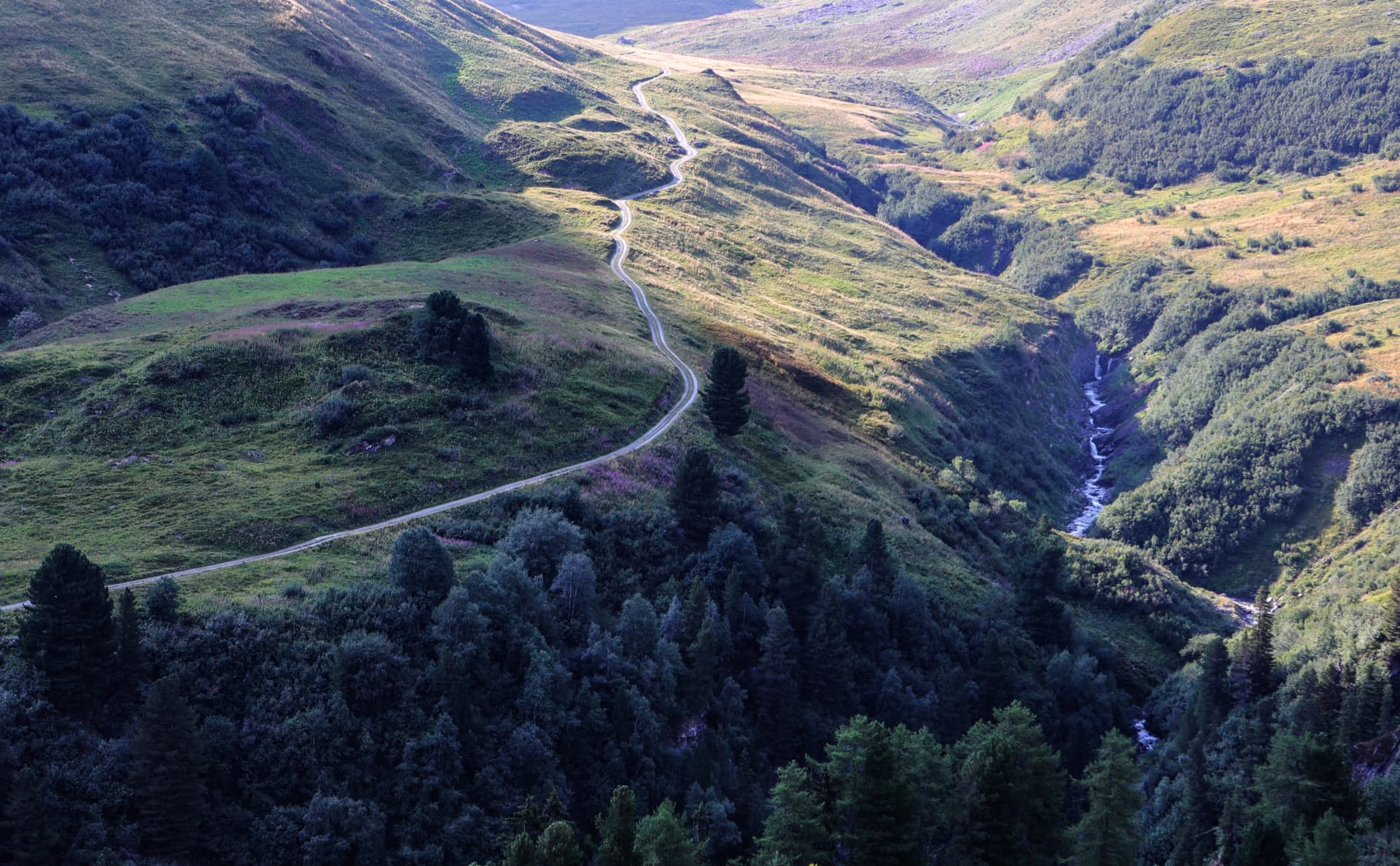 Gewundene Straße auf grünen Hängen im Val Ferret neben einem Bergbach