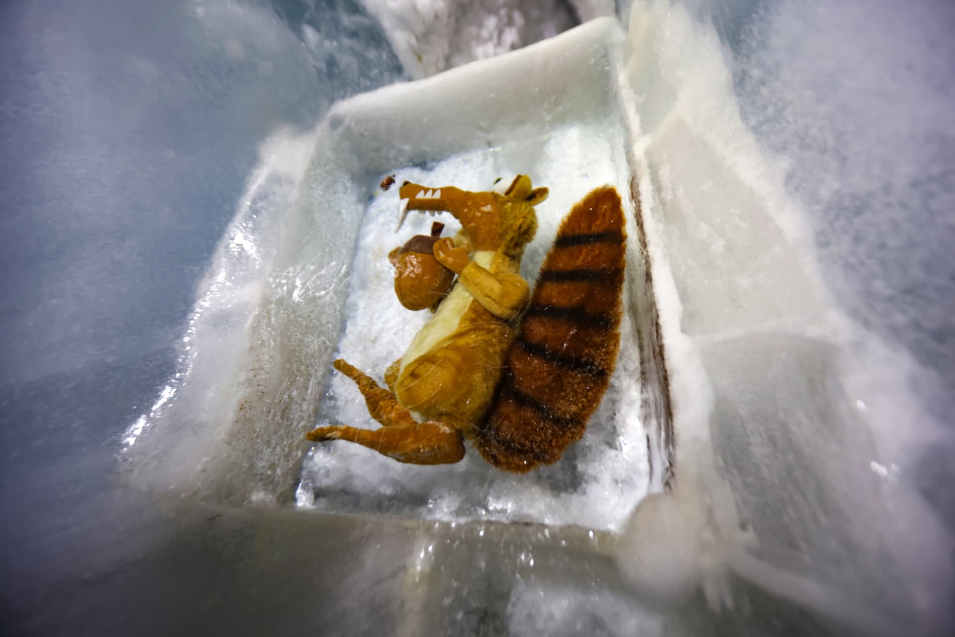 Eisausstellung mit Eichhörnchen und Eichel auf dem Jungfraujoch