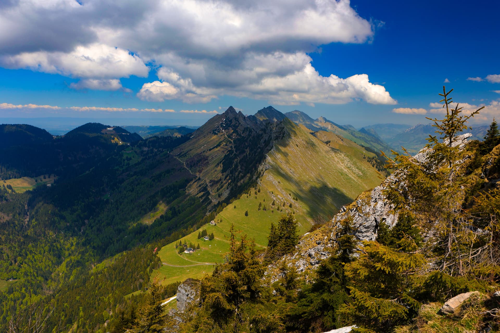 Grüne Grate der Freiburger Voralpen von der Dent de Jaman