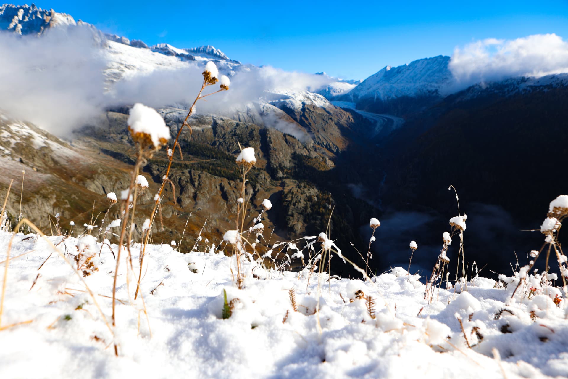 Trockene Gräser mit erstem Schnee über dem Tal