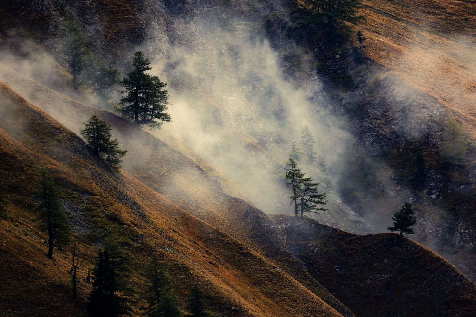 Herbstliche Lärchen und Nebel über den steilen Hängen des Val Ferret