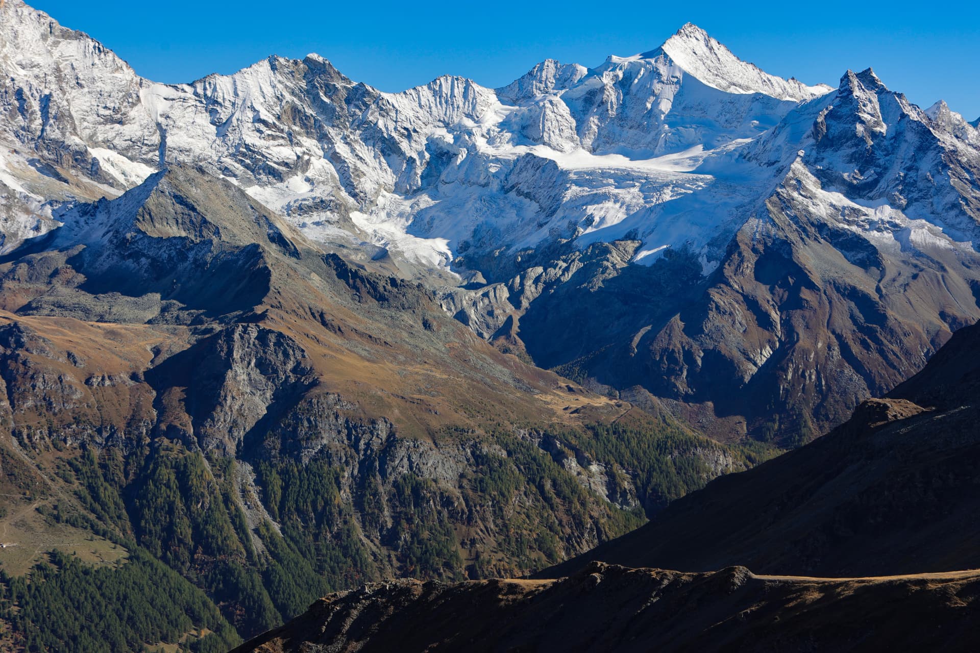 Gletscher und verschneite Wände über einem bewaldeten Tal