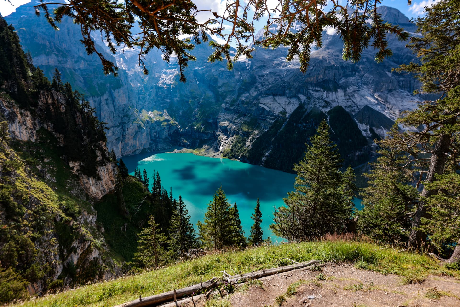 Oeschinensee durch Föhrenzweige gesehen
