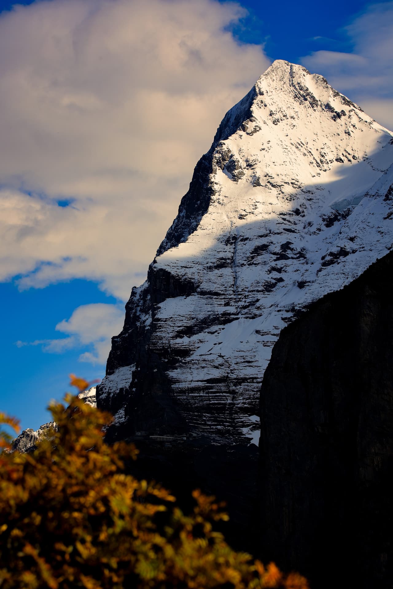 Schneebedeckter Eiger über herbstlichem Laub im Vordergrund