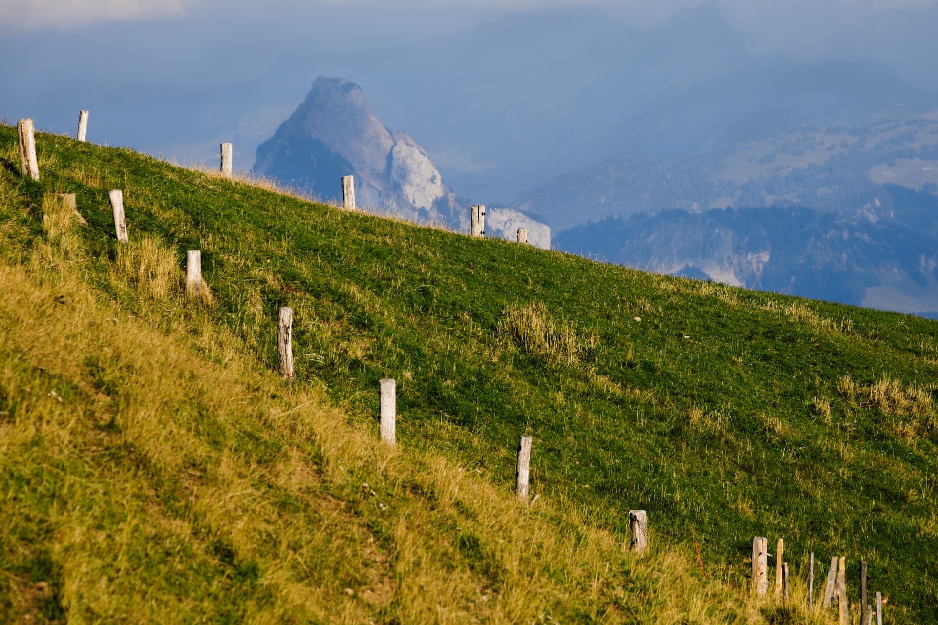 Grasgrat der Rigi mit Holzpfählen und dem Grossen Mythen dahinter