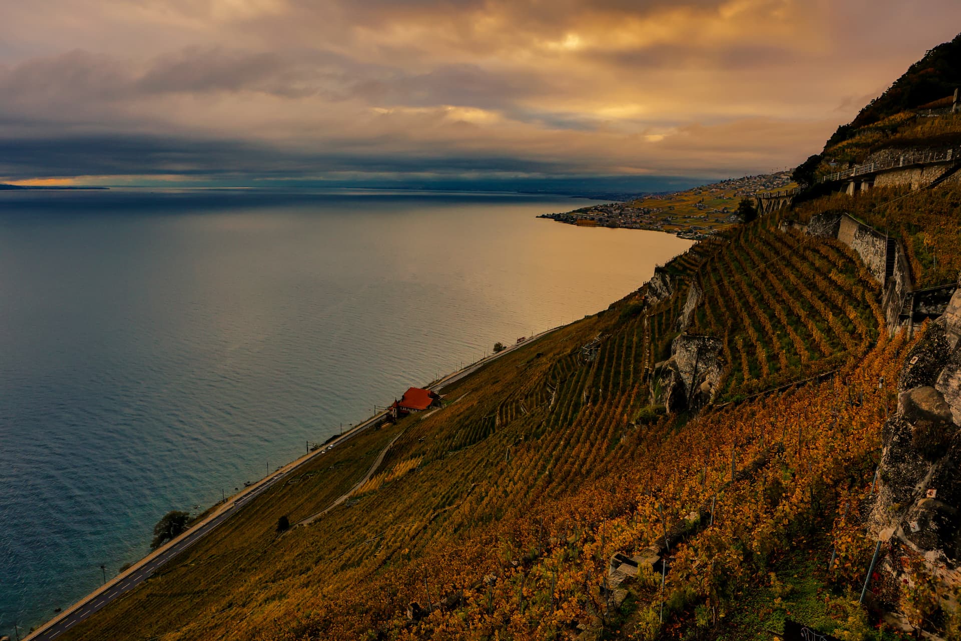 Genfersee im kupferfarbenen Abendlicht, gesehen aus den Rebbergen von Lavaux