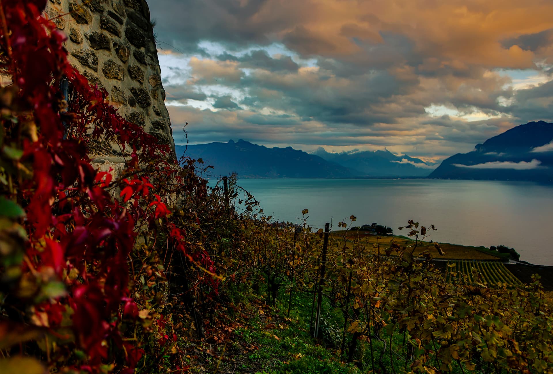 Rote Blätter des Wilden Weins auf einer Steinmauer mit Blick über den See