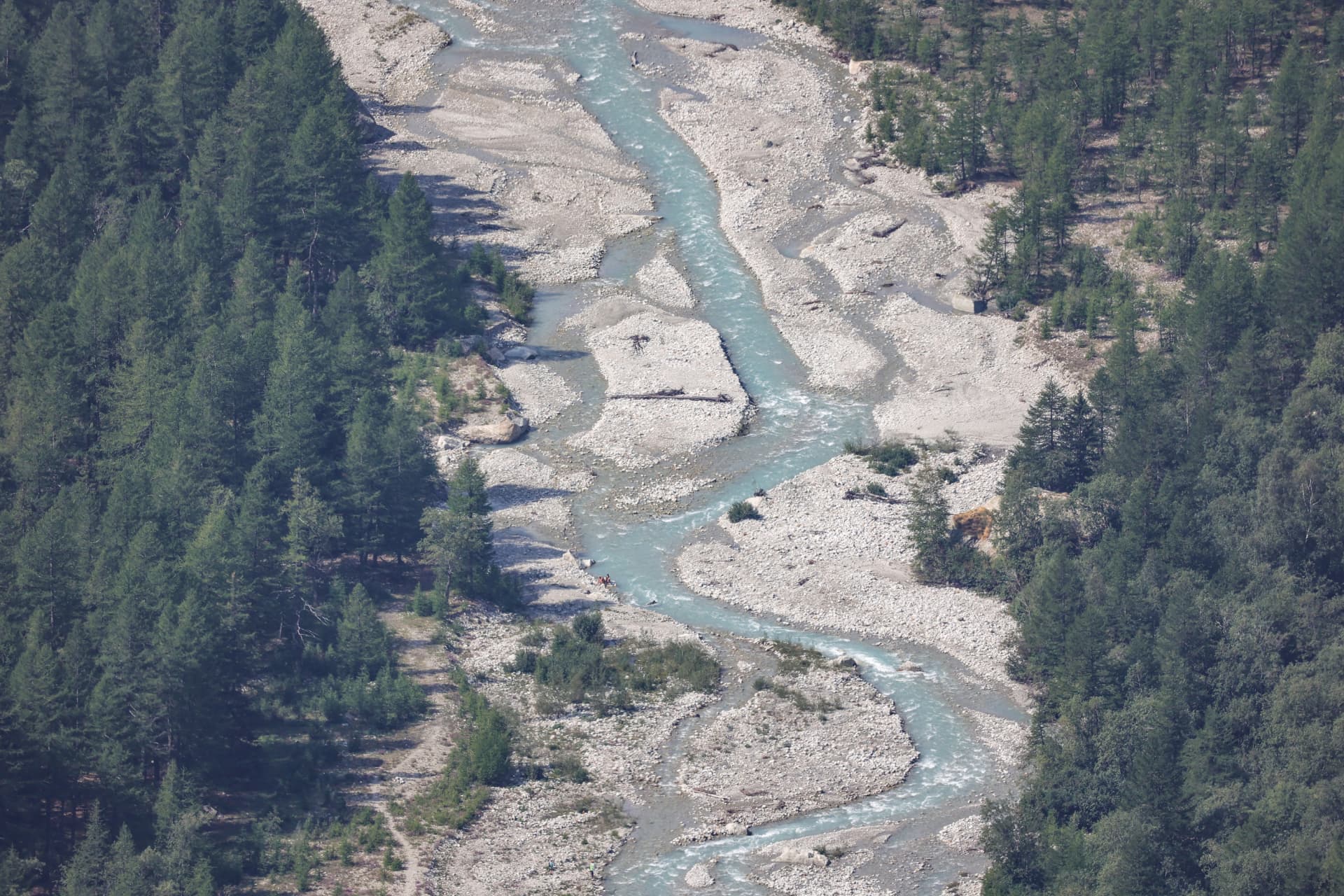 Verzweigtes Gletscherflussbett zwischen Bäumen