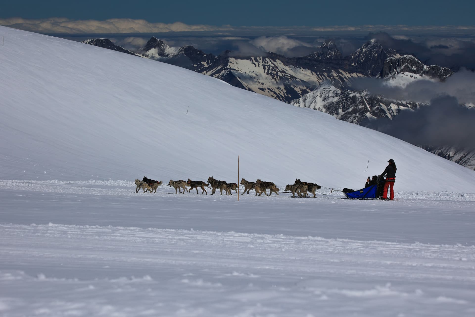 Hundeschlitten auf dem Tsanfleuron-Gletscher