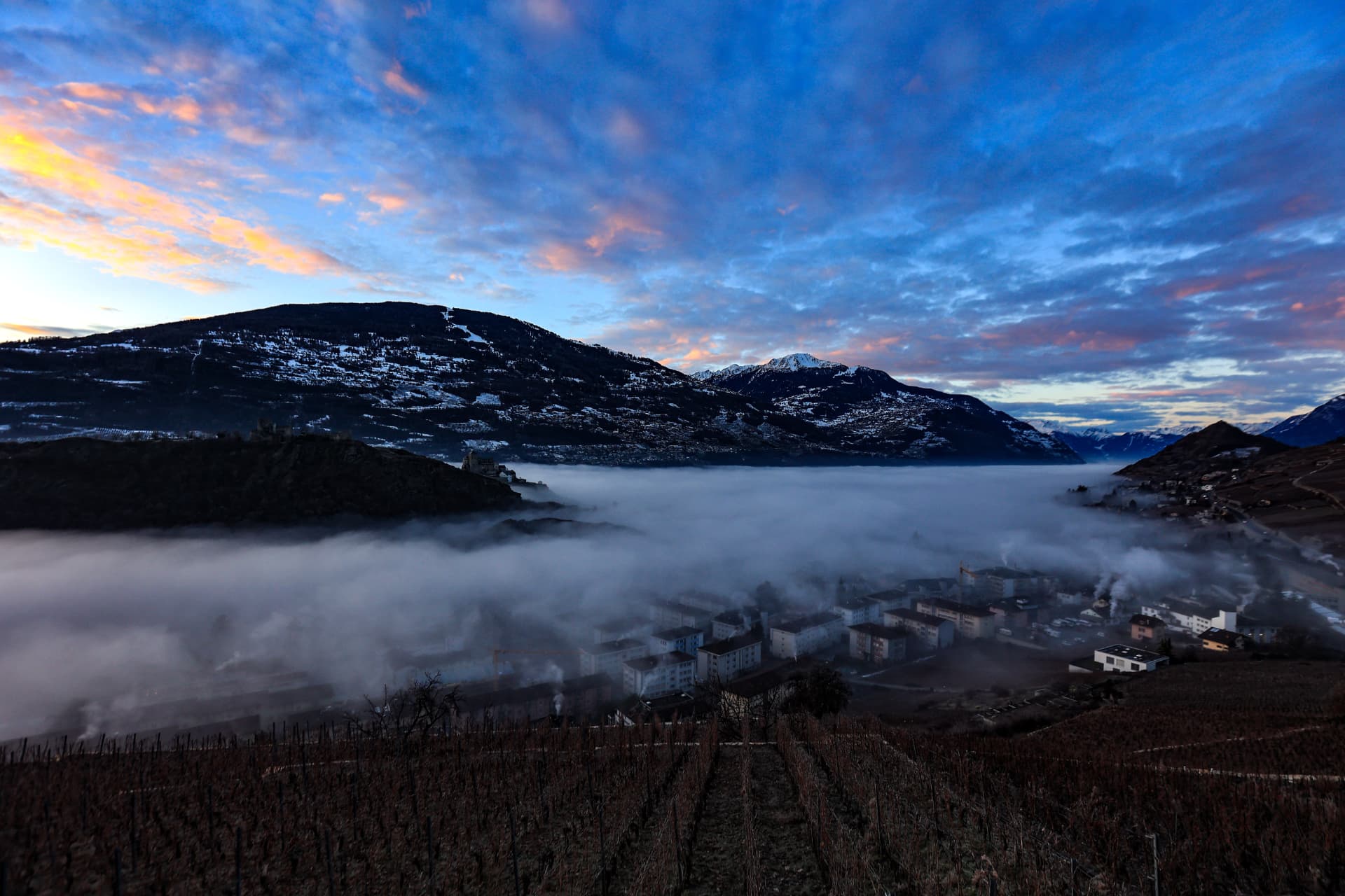 Morgendämmerung über Rebbergen und Nebelmeer im Rhonetal bei Sion