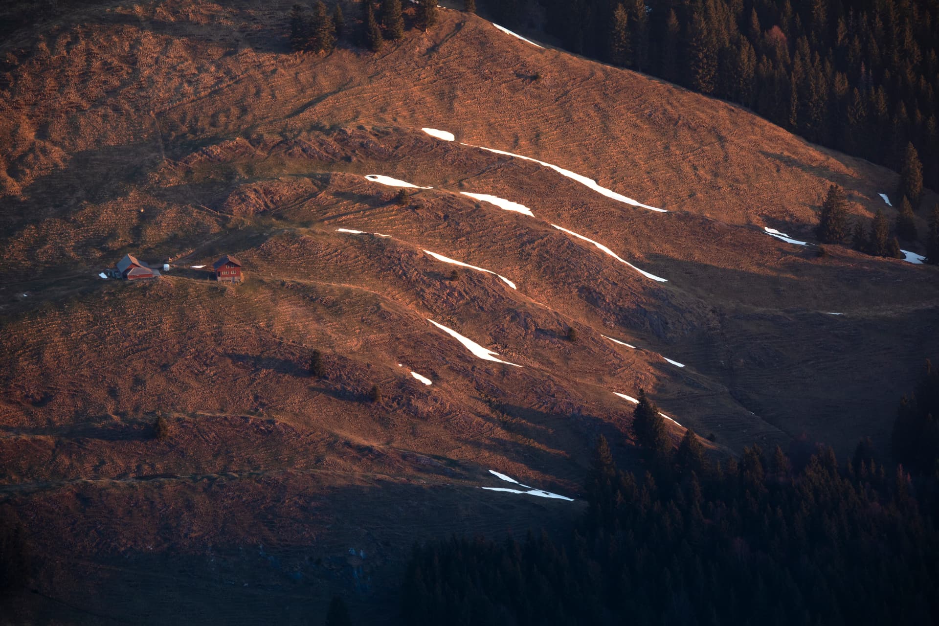 Alpweiden mit Hütten an einem Hang im letzten Licht des Tages