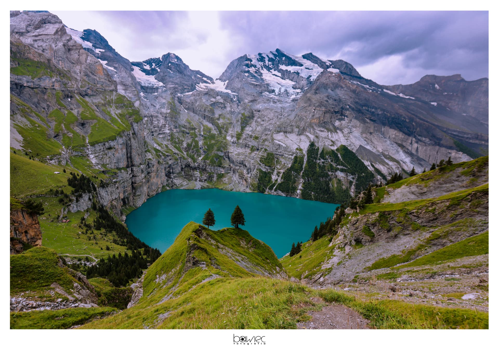 Oeschinensee im Rahmen von Fichtenzweigen