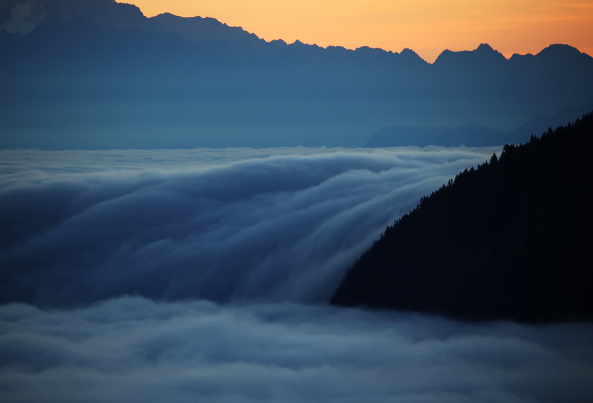 Wolkenmeer, das im Morgengrauen über einen bewaldeten Grat fliesst