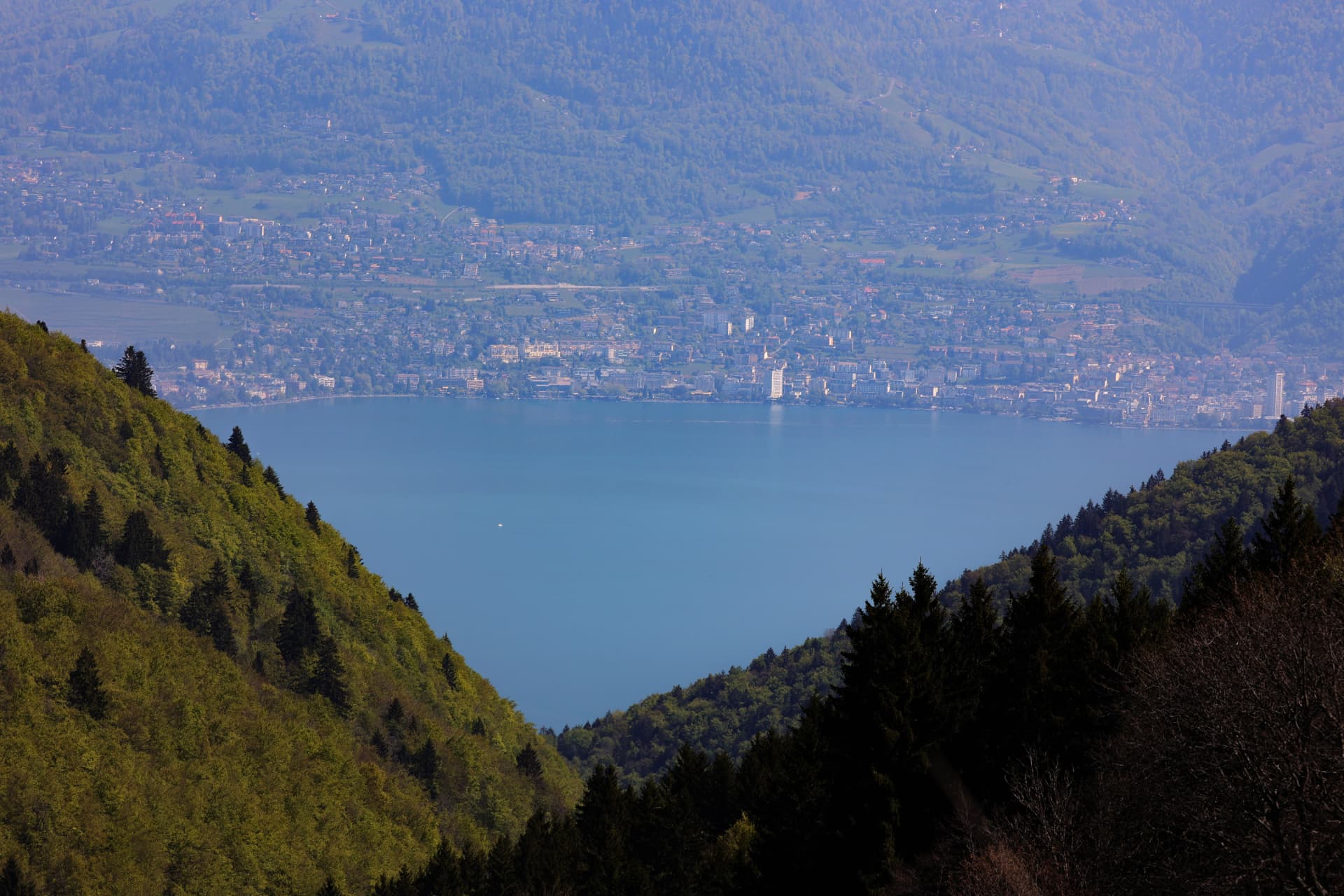 Genfersee und bebautes gegenüberliegendes Ufer zwischen bewaldeten Hängen